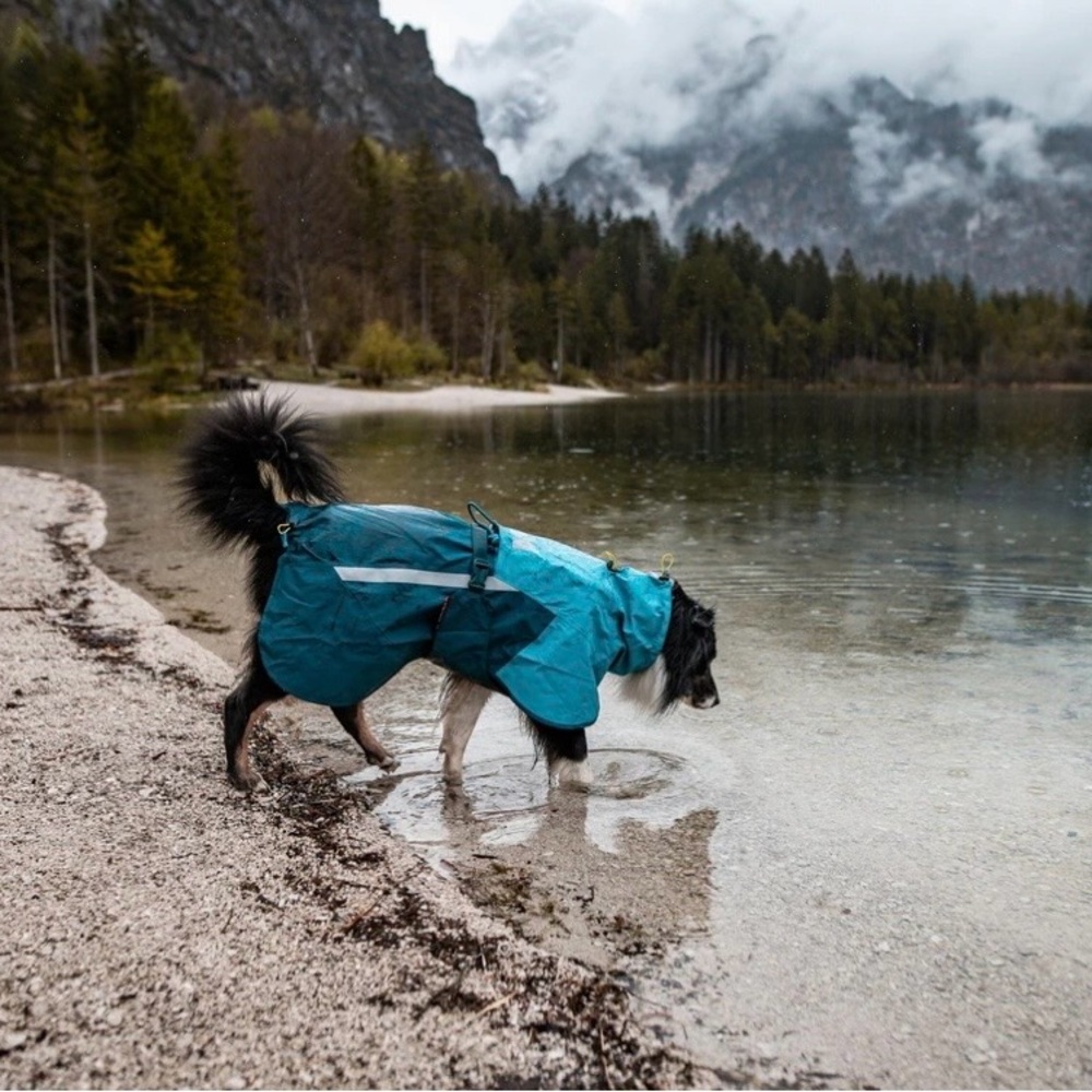 Non-stop Dogwear Fjord 2.0 Dog Raincoat, Teal, Large Breed